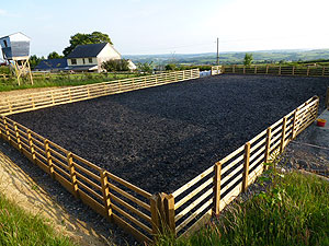 images/c.jpg#joomlaImage://local-images/c.jpg?width=300&height=225