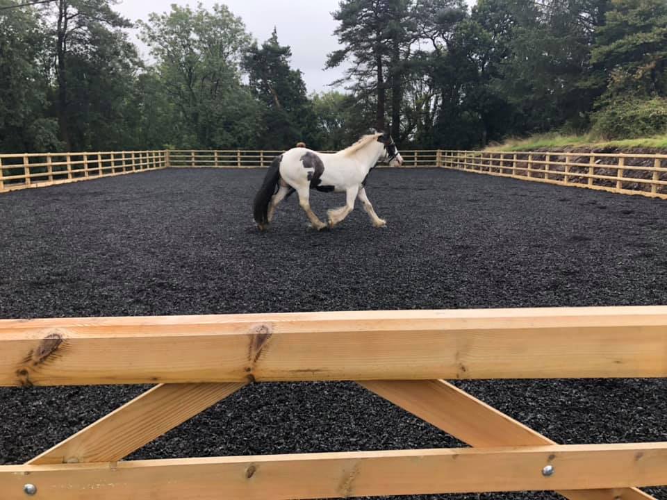 images/crosshands/6.jpg#joomlaImage://local-images/crosshands/6.jpg?width=960&height=720